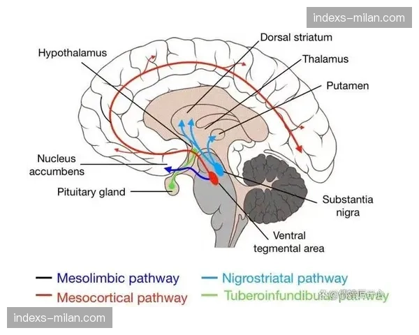 场馆神经中枢感知力增强 倒逼执行端响应周期缩短
